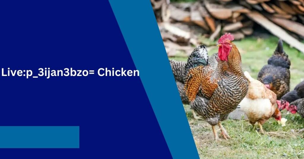 Live:p_3ijan3bzo= Chicken