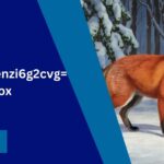 Drawing:1enzi6g2cvg= Fox – A Complete Guide to Mastering Fox Drawing!