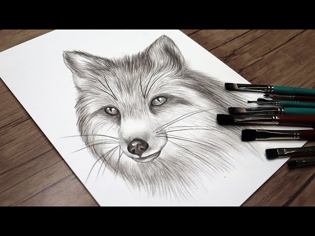 Tools and Materials for Drawing:1enzi6g2cvg= Fox - Gear Up